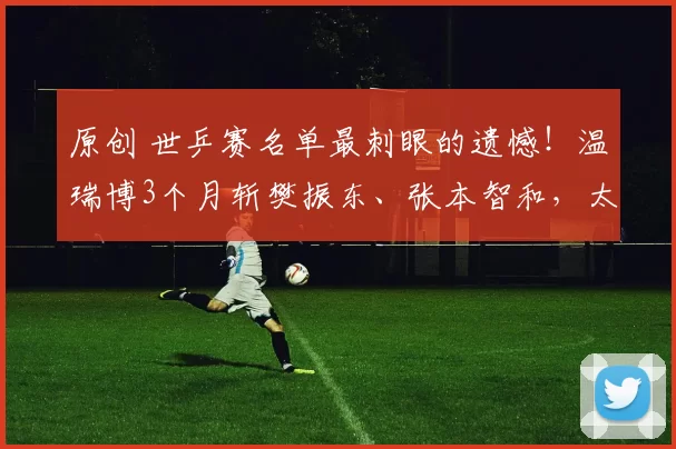 原创 世乒赛名单最刺眼的遗憾！温瑞博3个月斩樊振东、张本智和，太原双冠仍落选，国乒选拔引争议