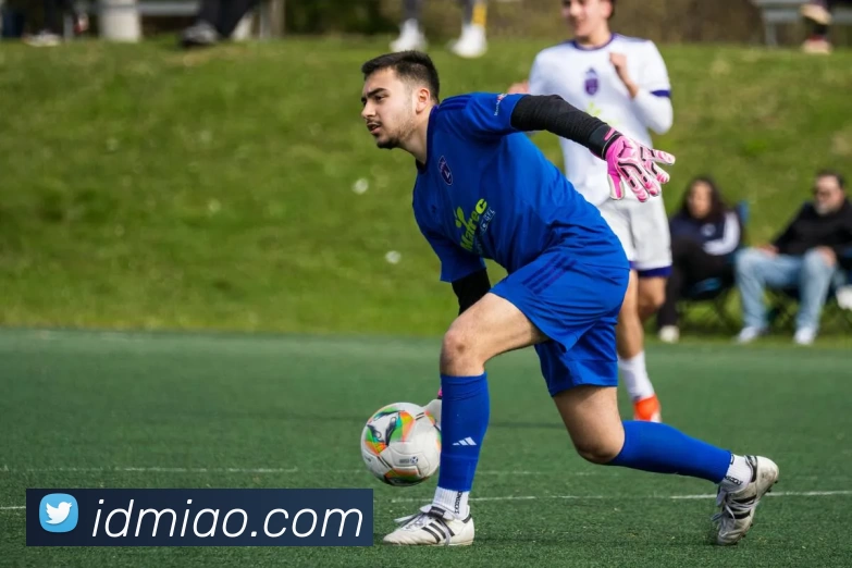 App Interface Preview